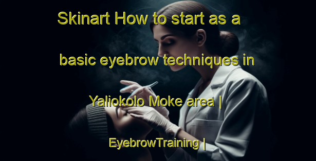 Skinart How to start as a basic eyebrow techniques in Yaliokolo Moke area | EyebrowTraining | EyebrowClasses | SkinartTraining-the Democratic Republic of the Congo